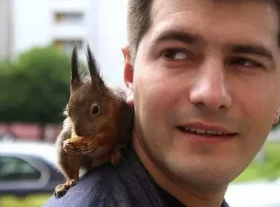 Screen Shot 2018 04 07 At 2.48.19 Pm