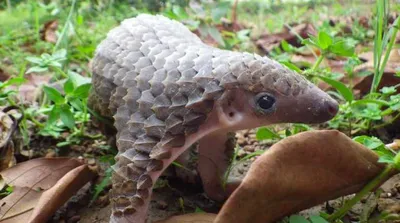 Screen Shot 2018 04 15 At 6.56.43 Pm