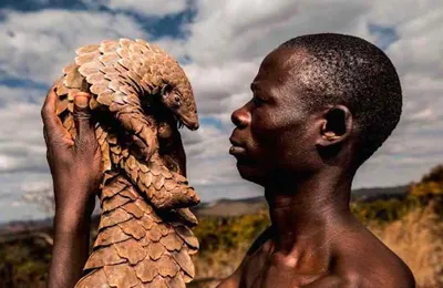 Screen Shot 2018 04 15 At 6.58.29 Pm