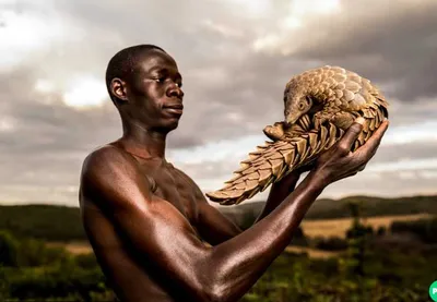 Screen Shot 2018 04 15 At 7.00.13 Pm