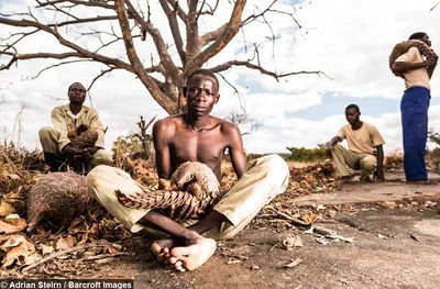 Screen Shot 2018 04 15 At 7.02.49 Pm