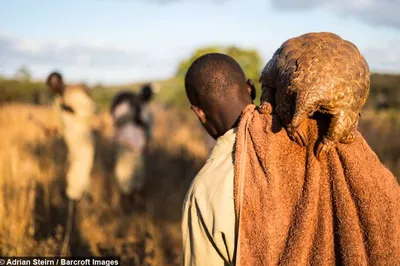 Screen Shot 2018 04 15 At 7.07.39 Pm