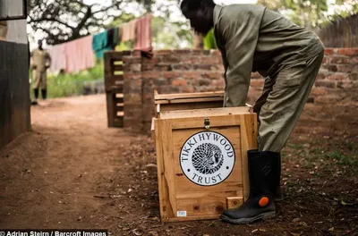 Screen Shot 2018 04 15 At 7.08.16 Pm