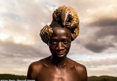 Screen Shot 2018 04 15 At 7.08.50 Pm