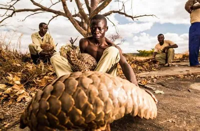 Screen Shot 2018 04 15 At 7.10.10 Pm