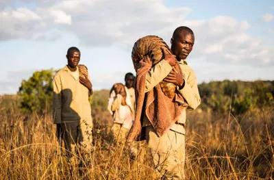 Screen Shot 2018 04 15 At 7.11.56 Pm