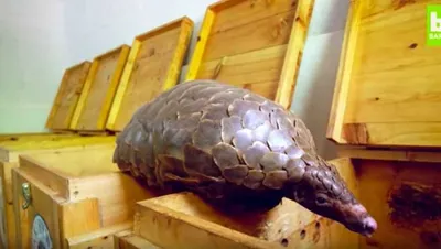 Screen Shot 2018 04 15 At 7.13.00 Pm