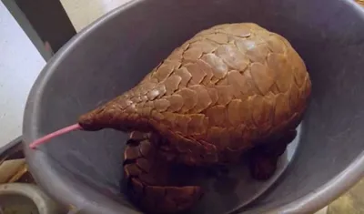 Screen Shot 2018 04 15 At 7.13.48 Pm