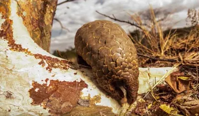 Screen Shot 2018 04 15 At 7.14.41 Pm