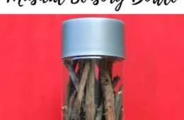 Diy Sensry Rainstick