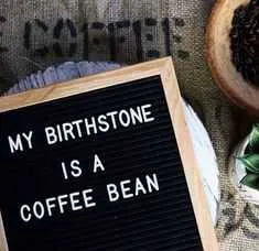 Funny Quotes And Sayings About Life  Birthstone