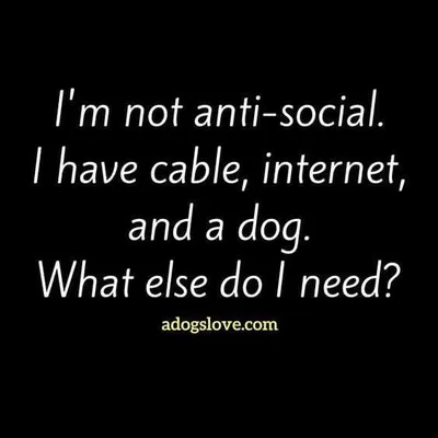 Funny Quotes And Sayings About Life  AntiSocial