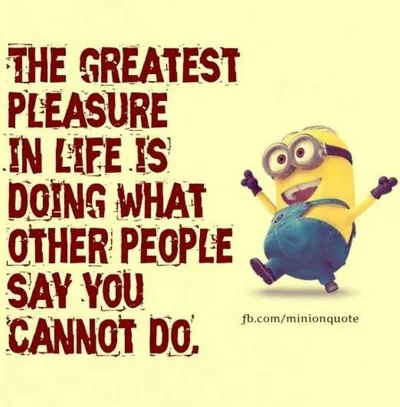Minion What Other People