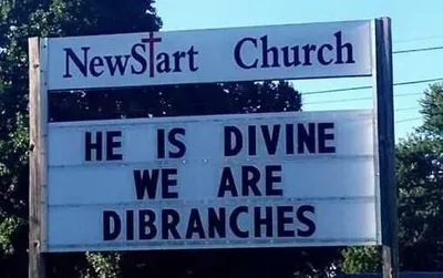 Funny Church Signs Divine