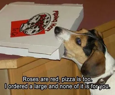 Funny Roses Pizza