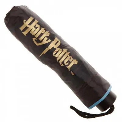 Harry Potter Case