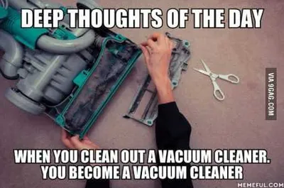 24 Funny Pictures About Spring Cleaning  Deep Thoughts Of The Day
