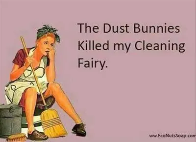 24 Funny Pictures About Spring Cleaning  Dust Bunnies
