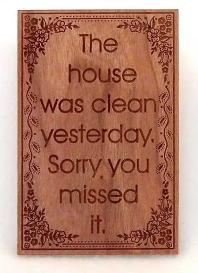 24 Funny Pictures About Spring Cleaning  Sorry You Missed It