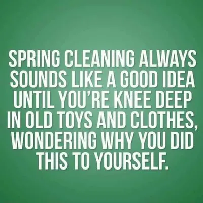 24 Funny Pictures About Spring Cleaning  Spring Cleaning Realizations
