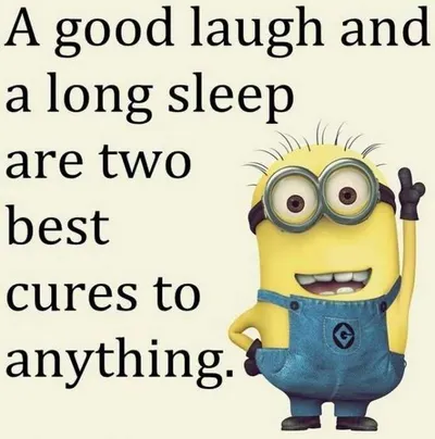 Minion Good Life