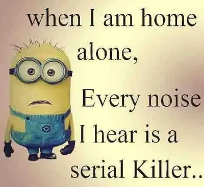 Funny Minion Pictures With Sayings  Home Alone