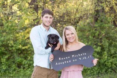 Facebook Meet Raven 1