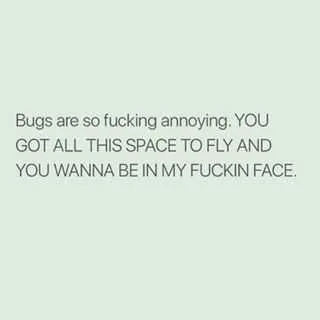 Funny Bugs Space