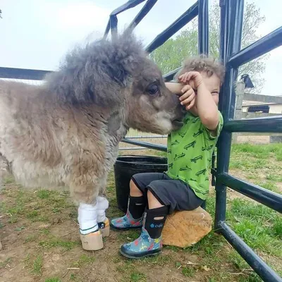 Pumpkin Love Facebook