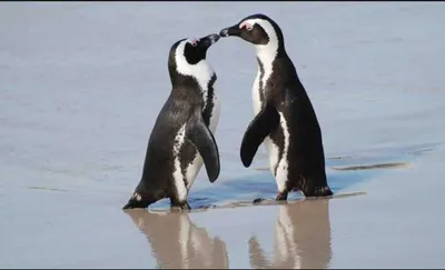 Screen Shot 2018 07 16 At 1.58.24 Am