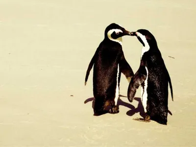 Screen Shot 2018 07 16 At 2.13.18 Am