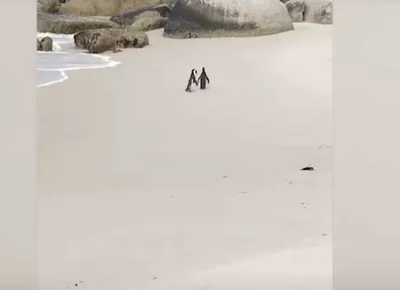 Screen Shot 2018 07 16 At 2.21.34 Am