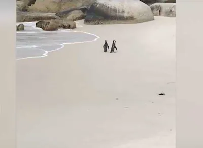 Screen Shot 2018 07 16 At 2.25.10 Am