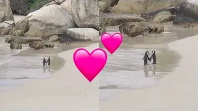 Screen Shot 2018 07 16 At 2.26.27 Am