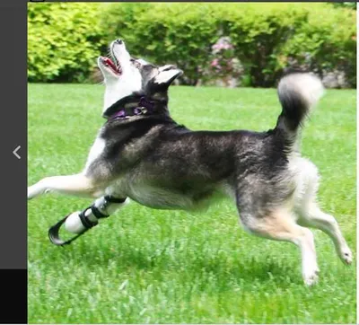 Screen Shot 2018 07 17 At 1.28.36 Pm