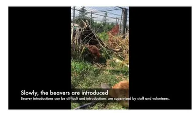 Screen Shot 2018 07 20 At 11.38.17 Am