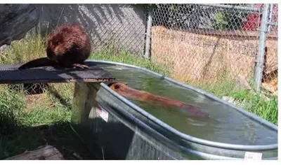 Screen Shot 2018 07 20 At 11.39.57 Am