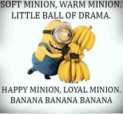 Minion Soft Drama