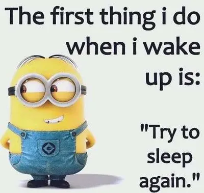 Minion Try To Sleep Again