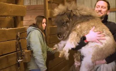 Pump Derrick Youtube