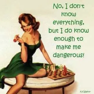 Quote Know Enough Dangerous