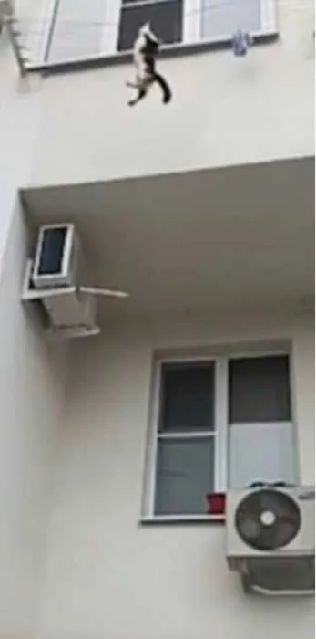 Screen Shot 2018 08 20 At 1.18.35 Am