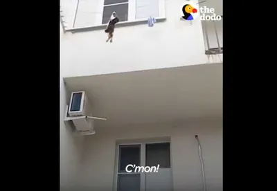 Screen Shot 2018 08 20 At 1.19.41 Am