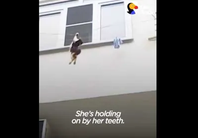 Screen Shot 2018 08 20 At 1.22.15 Am