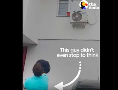 Screen Shot 2018 08 20 At 1.24.24 Am