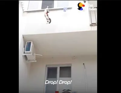 Screen Shot 2018 08 20 At 1.28.01 Am