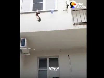 Screen Shot 2018 08 20 At 1.29.04 Am