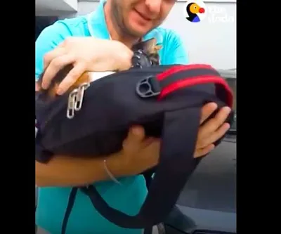 Screen Shot 2018 08 20 At 1.36.12 Am