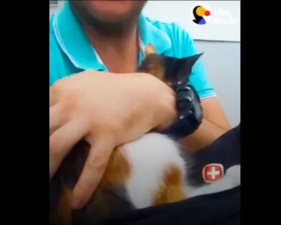 Screen Shot 2018 08 20 At 1.40.21 Am