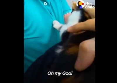 Screen Shot 2018 08 20 At 1.40.58 Am